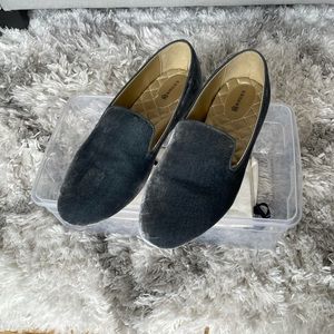 Birdies “the Starling” flat in Ice